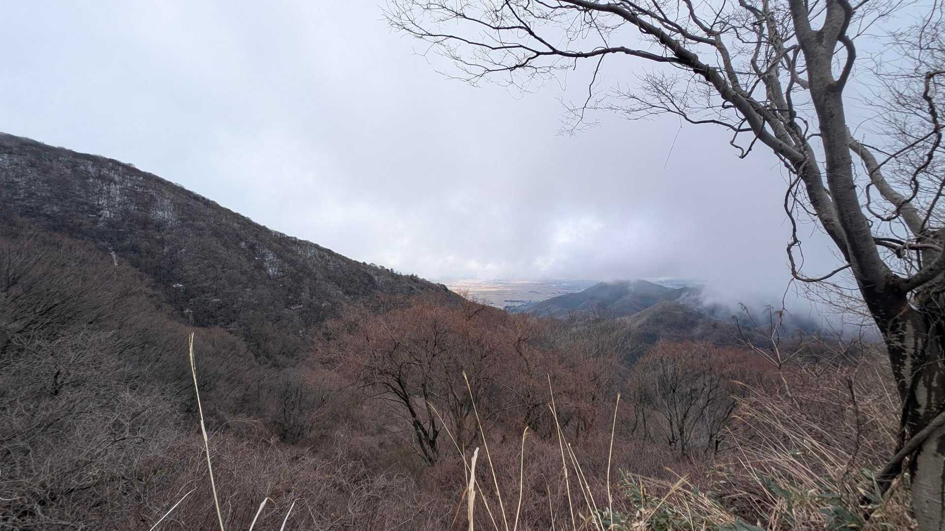 弥彦山 往復コースの写真