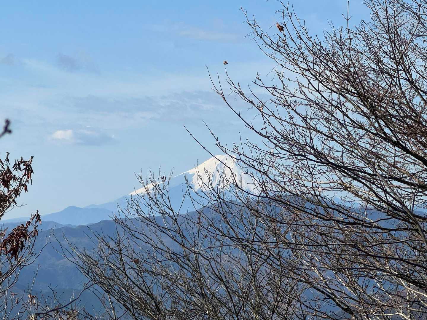 鳩ノ巣駅発着｜川苔山・鋸尾根周回コースの写真