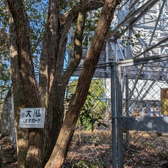 神滝とは？行ってみよう。