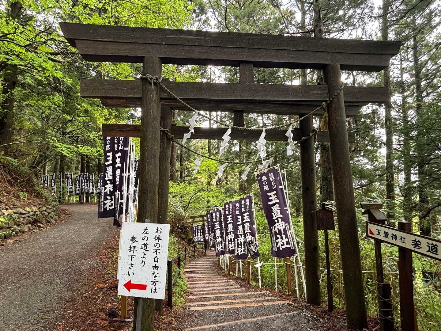 玉置神社-宝冠の森-玉置山 周回コースの写真