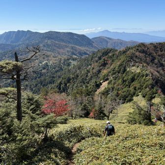 鋸岳から六林班峠へ。
ここはザレ場で激下り🤣