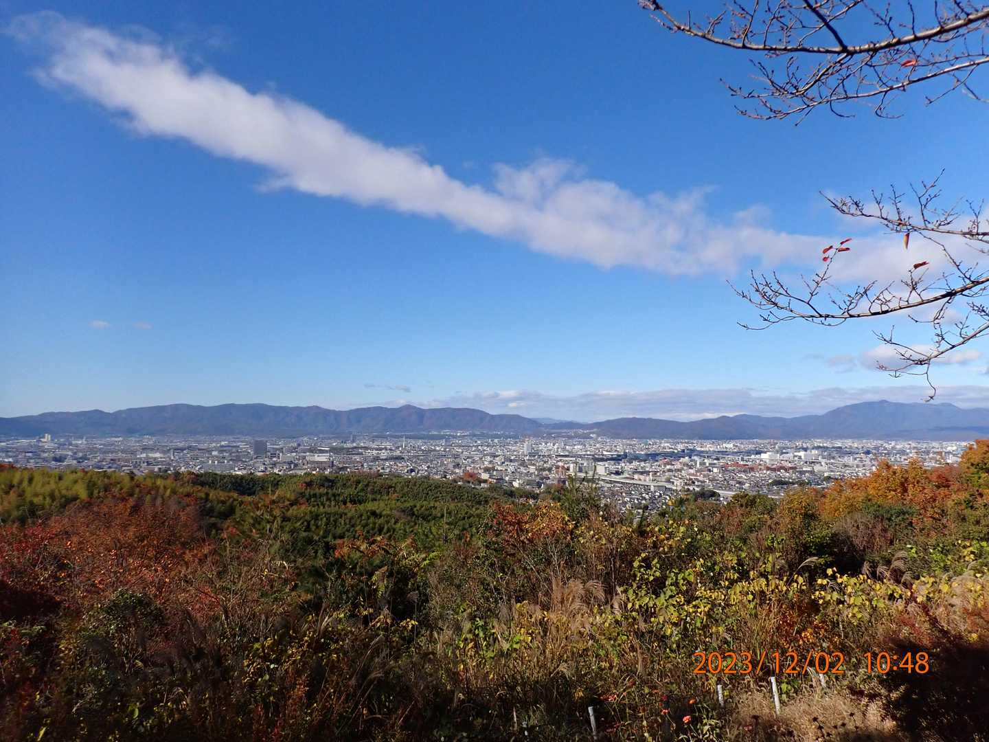 大岩山展望所