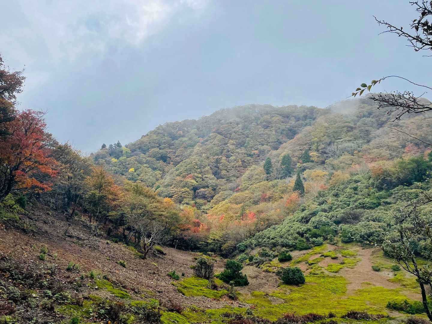 少しガスが晴れてきました🍁