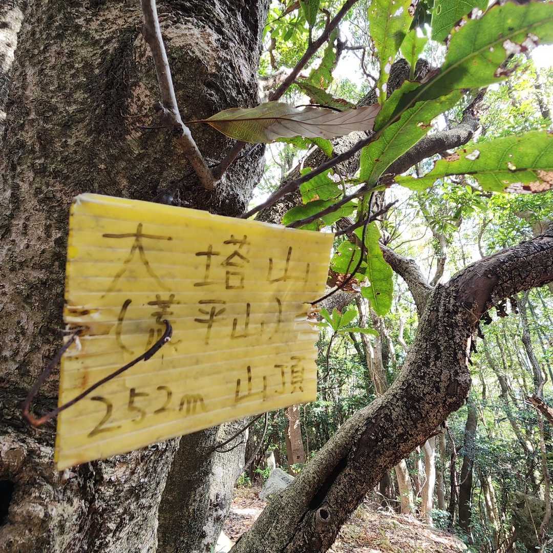 大塔山⛰️