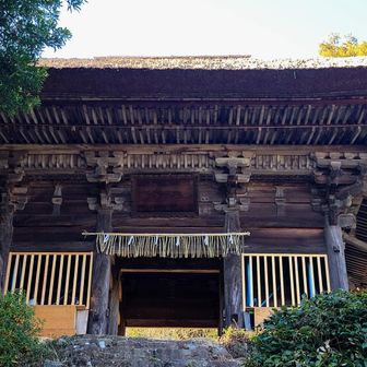 恐らく今日が2025年の登り納めとなるだろう。
今日は一日ありがとう。
又来ますね👋