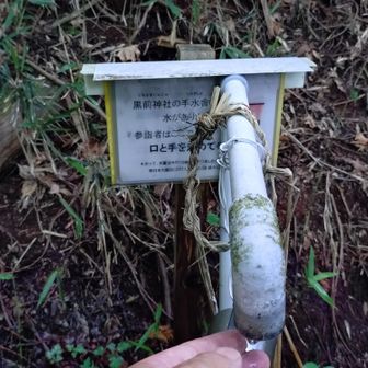 黒前神社に向かう前の手の清めは、この沢水しかないそうです。