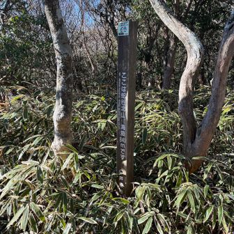 うっかり通り過ぎかけて引き返し、蛇谷北山踏破。