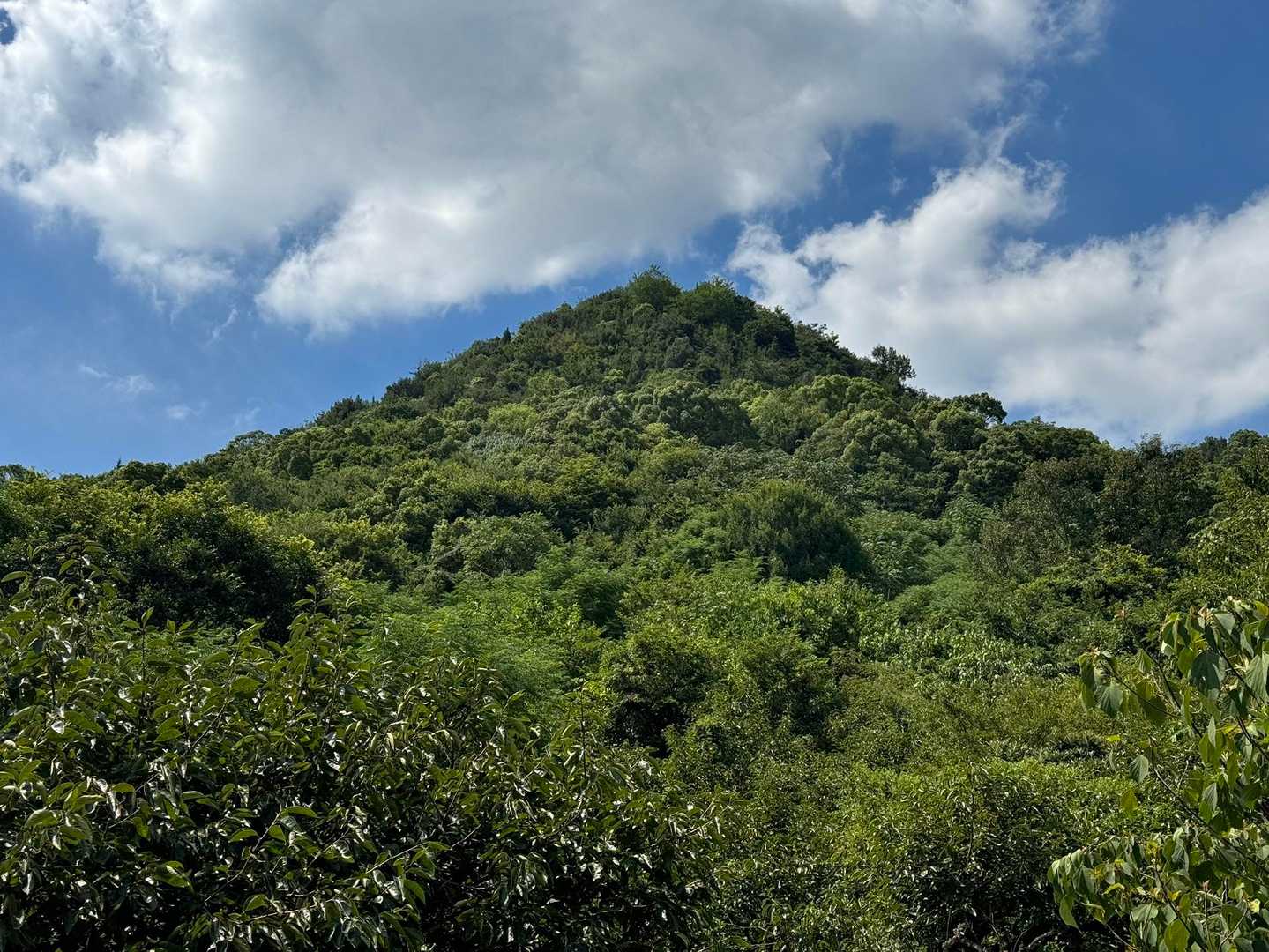 おつかれ山でした。