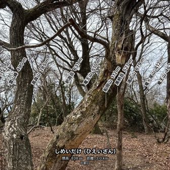 山アプリだとこんな感じ