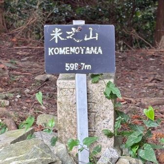 米ノ山ピークハント⛰️