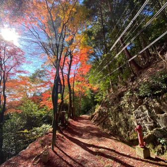 下山しましょか〜🥾