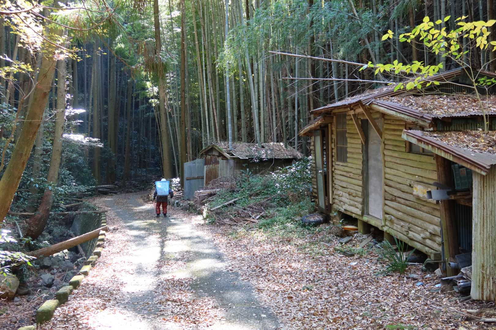 花沢山-日本坂峠 周回コースの写真