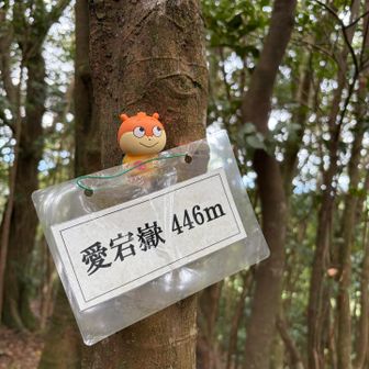感謝🙏
山頂表示