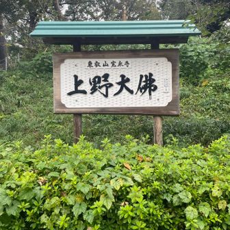 何十回も上野に来てるけど、初めて。。