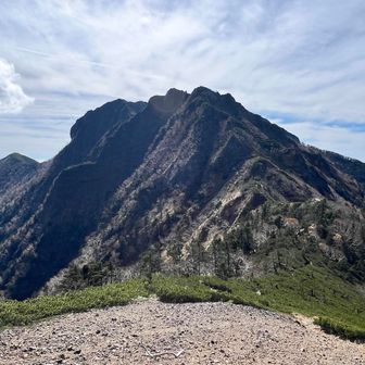 権現さん、また今度天女山から参ります