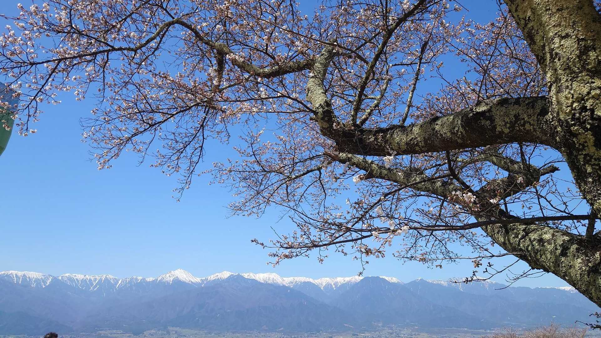 素晴らしい