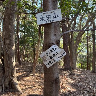 さぁ、戻りましょう