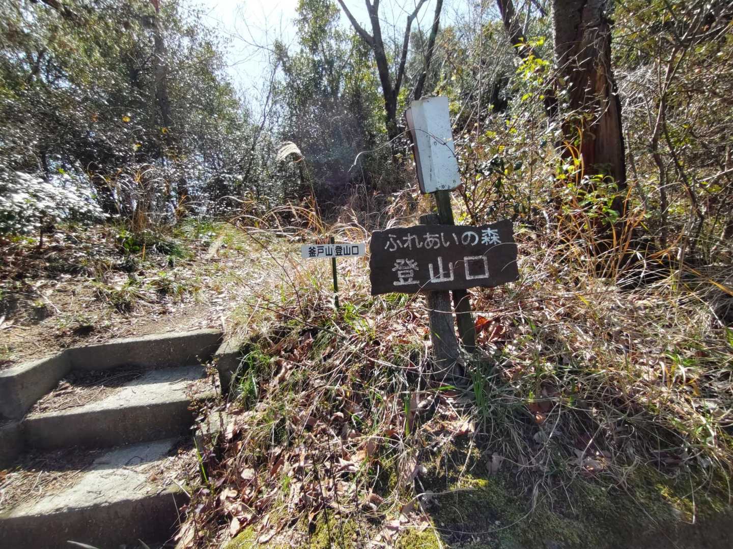 ここの登山口から😄