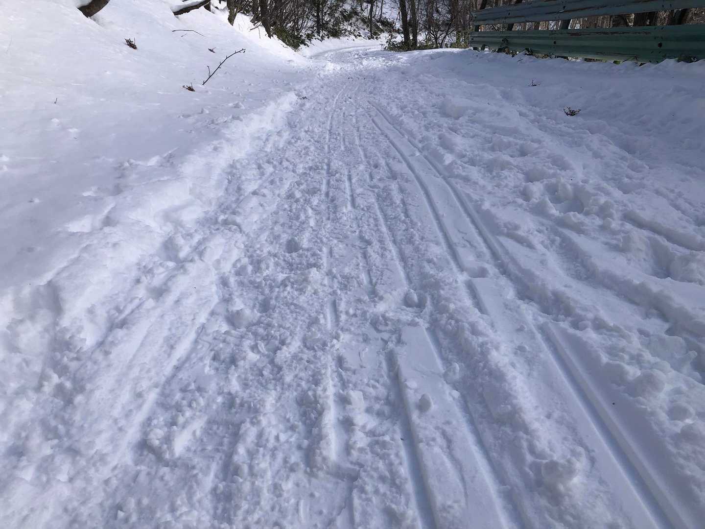 カナさん、HIROさんのソリ🛷の跡😄
今日ソリ持参はお二人だけでしたのですぐ分かります😆