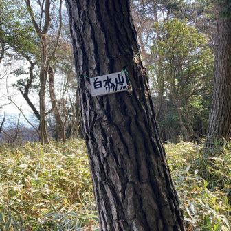 無事カエル君と記念の150座