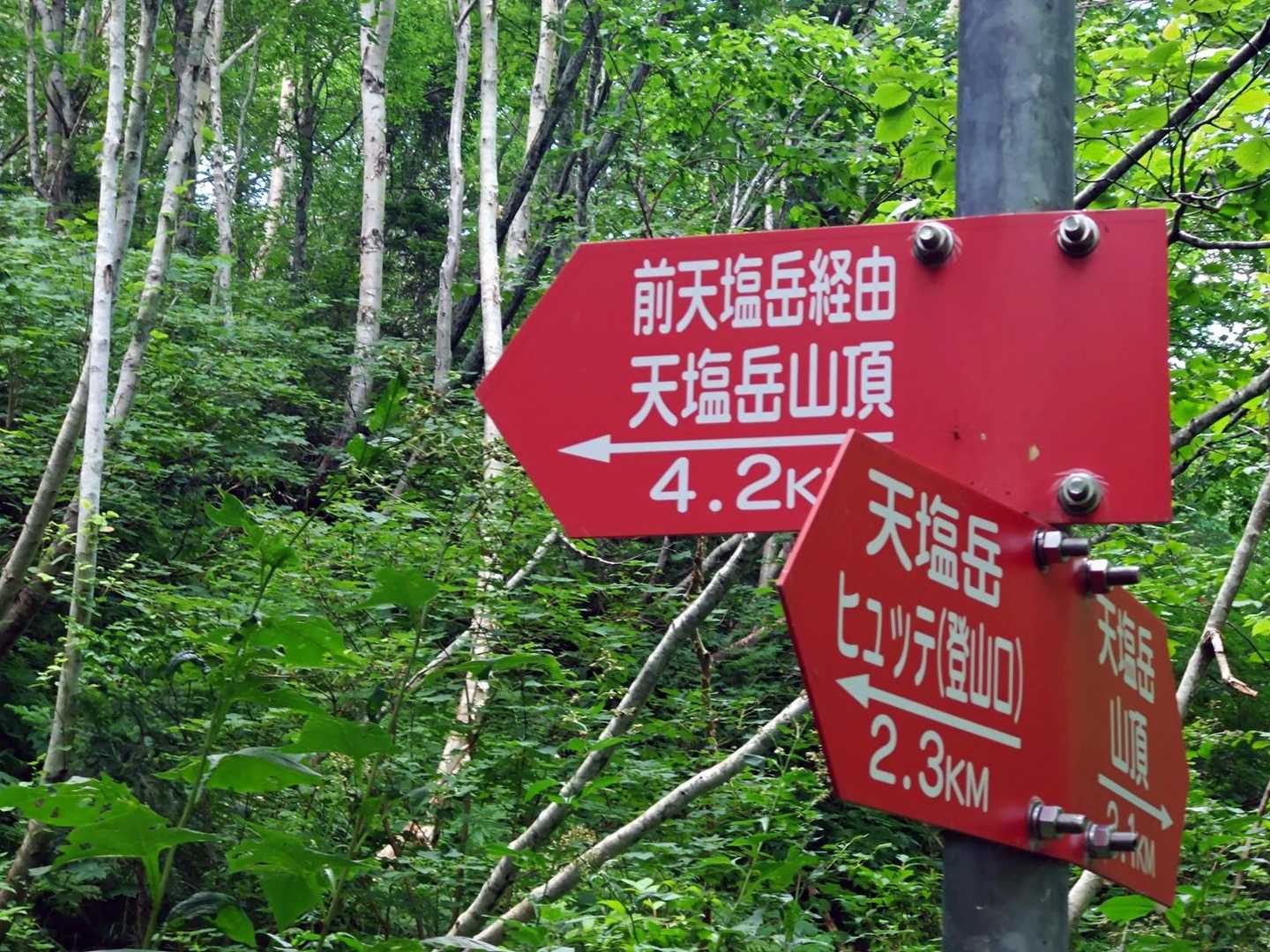 前天塩岳経由
天塩岳山頂を

目指します。