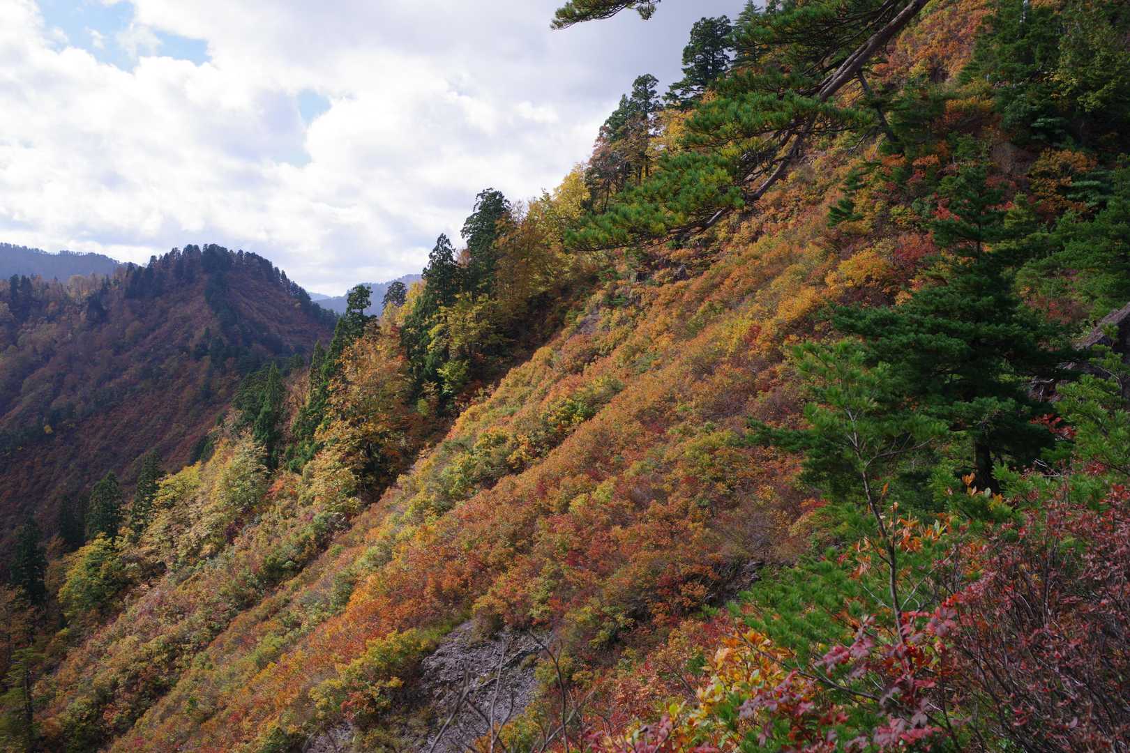 井戸小屋山の南斜面