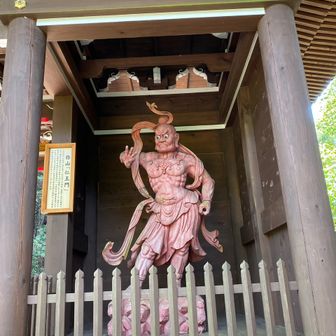 バティストゥータ