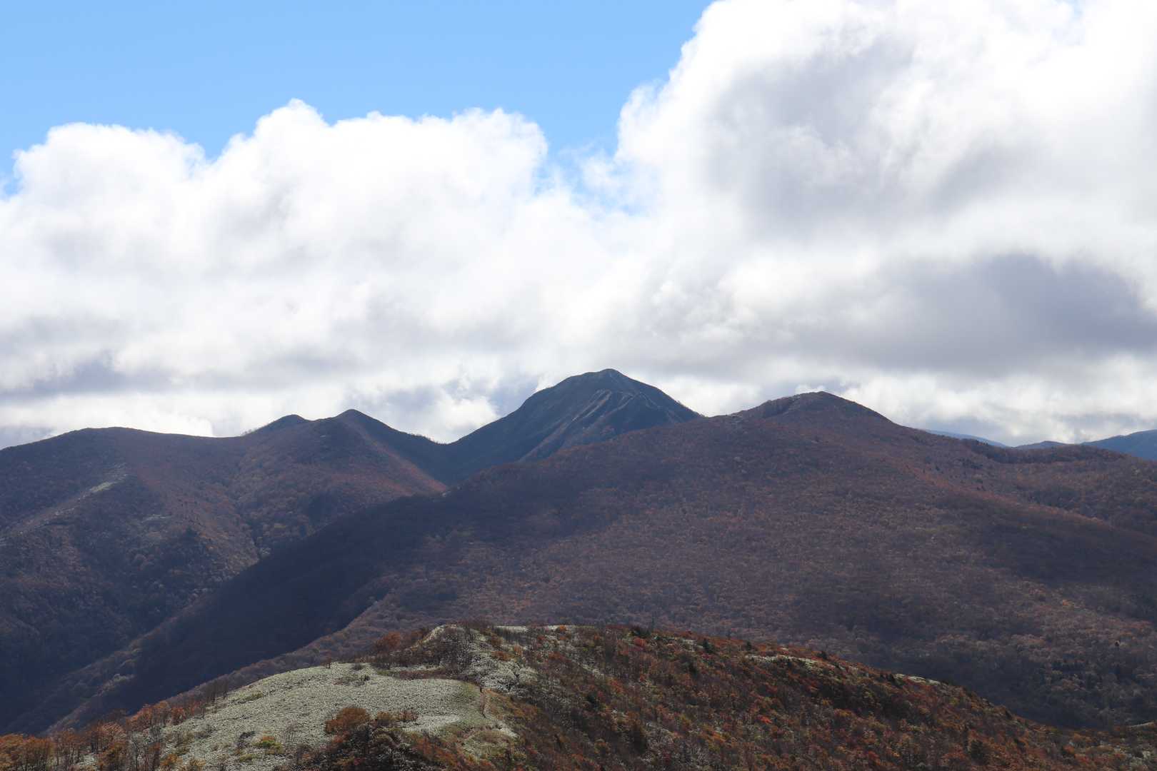 ようやく全開