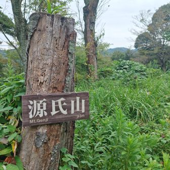源氏山に寄り