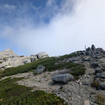 木の山頂標識と岩。YAMAPではコチラが熊沢岳山頂扱い。