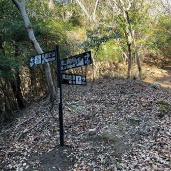 ようやく分岐。久しぶりに登ったので疲れ気味