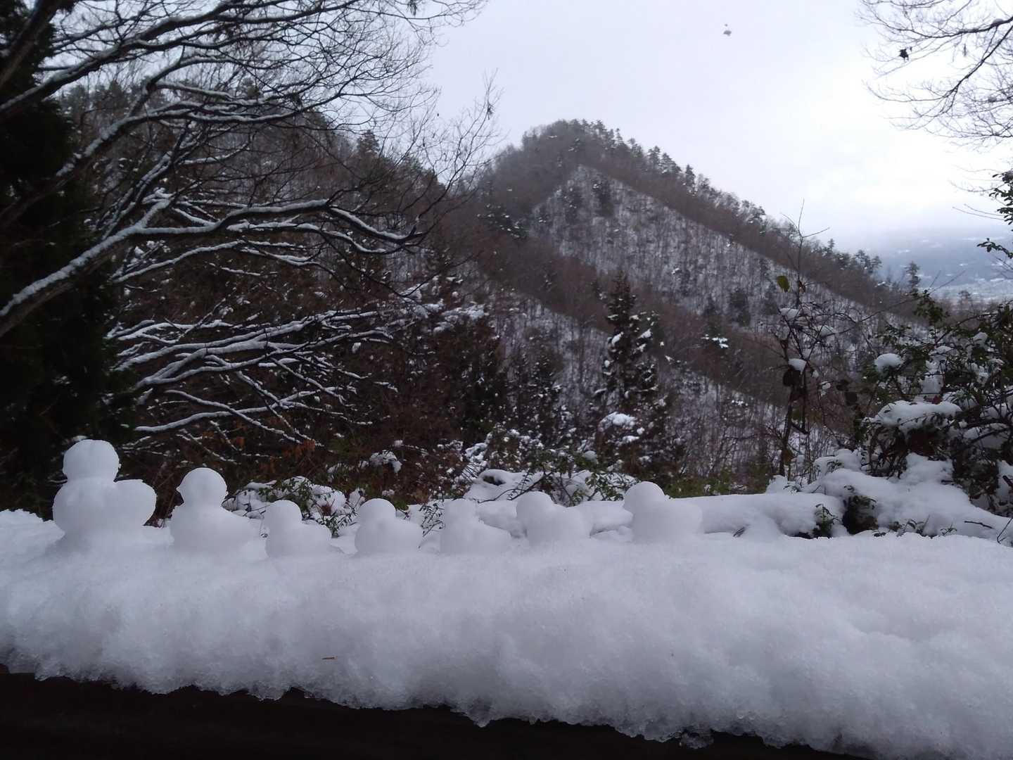 富神山 往復コースの写真