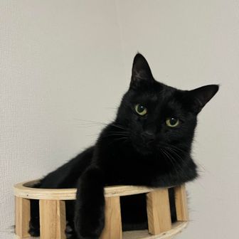 あきト