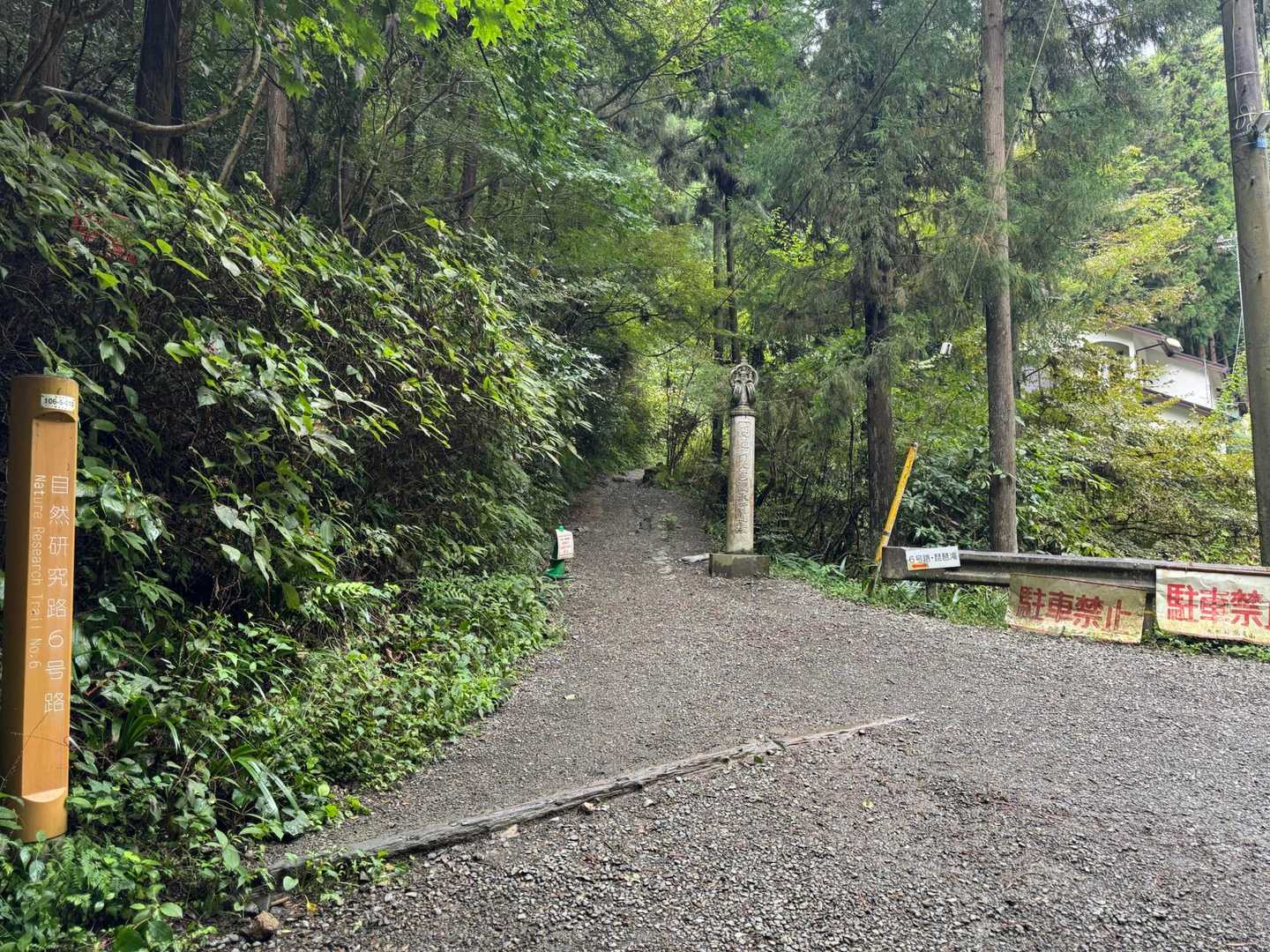 清滝駅-高尾山-一丁平園地-休憩舎-城山-小仏峠-景信山- 縦走コースの写真