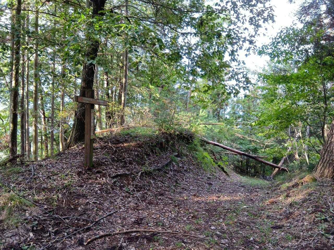 山頂の様子