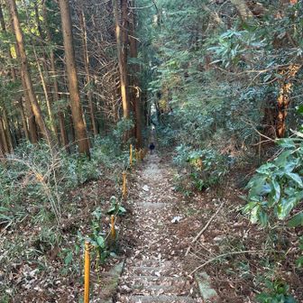 自分が先にスタスタと登って、妻待ちです🤭