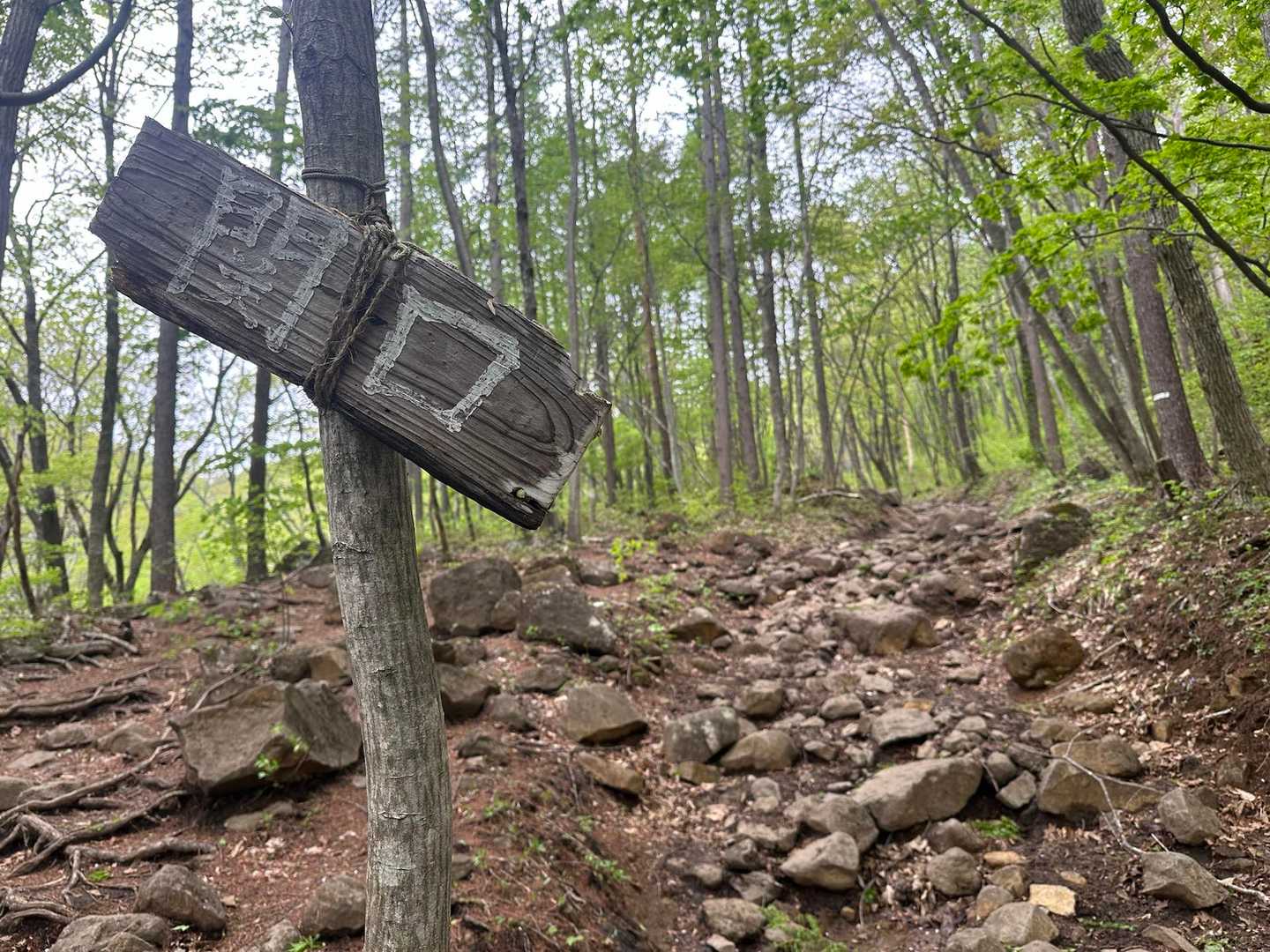 黒鼻山登山口-黒鼻山 往復コースの写真