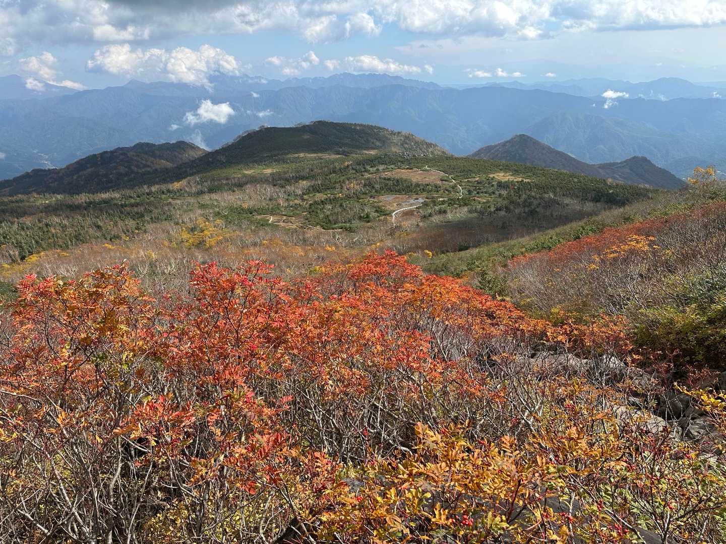 登るにつれて色濃くなっていきます🍁
