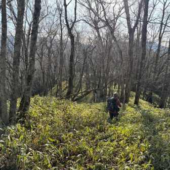 tonkoさん先頭に下山開始。
