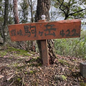 駒ヶ岳シリーズ第二弾！

7月に第一弾の木曽駒ヶ岳に登頂
そして今日は讃岐駒ヶ岳ね

第三弾…ま、これで終了かな😅