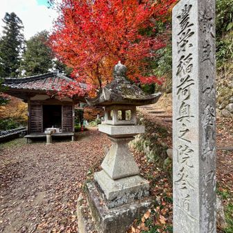 本堂の裏手から飯盛山を目指します⛰️
もちろんコマチとハヤテは山頂は目指さず、ここでお土産物屋さん街に引き返します😆