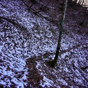 この辺だけ残雪と霜柱が多い。要注意。