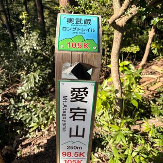 長念寺エイド手前の最後のお山。長かった、。ここを下ればお馴染みの長念寺の栗林。