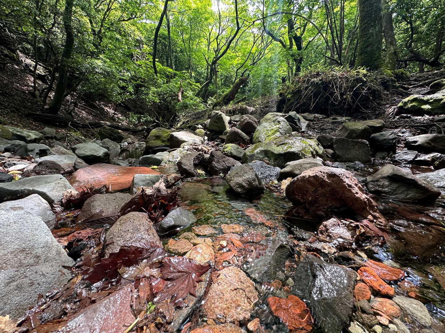 赤い岩（溶岩の酸化したもの）を見ると火山にきたと実感する