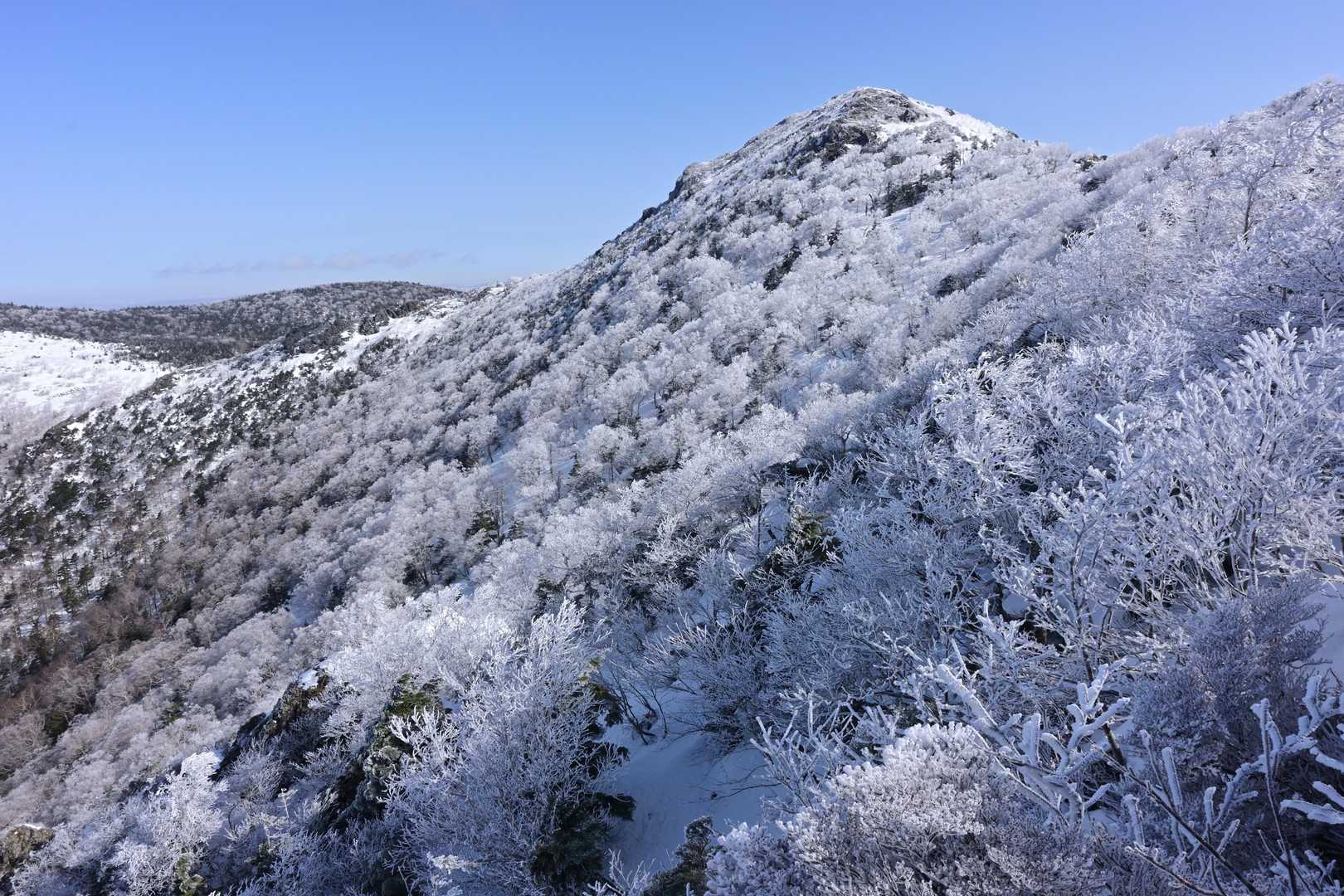 やっぱりきれいです。