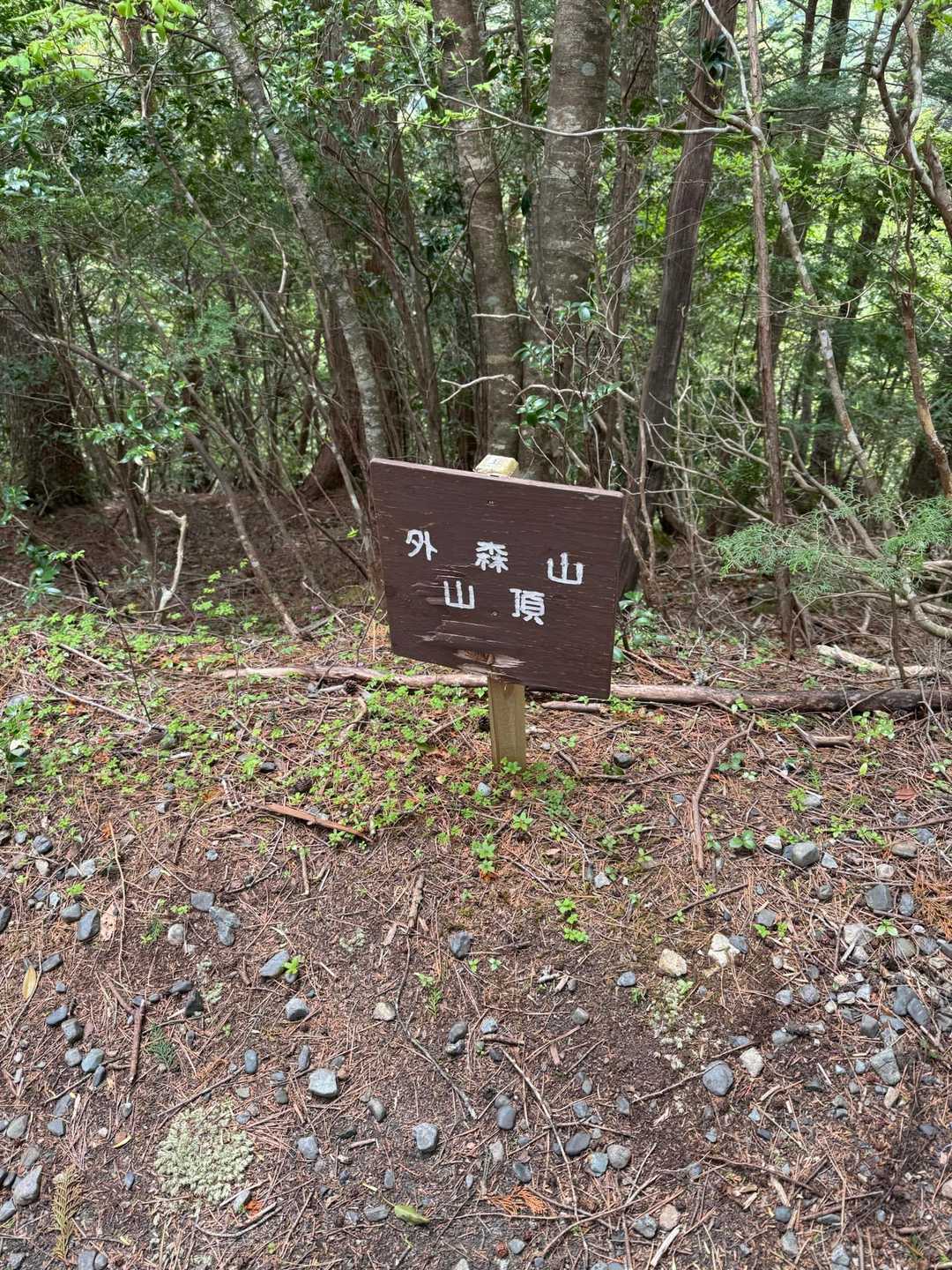 山頂に到着しました
