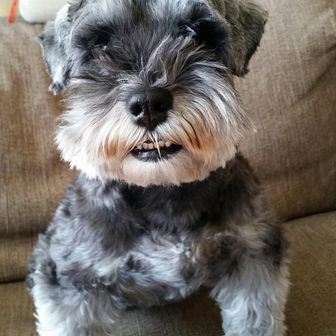 はっぱふみふみ