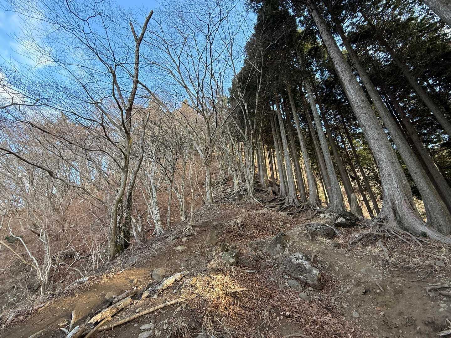 何気に急登になってきました
