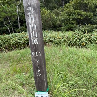やっとトウチャコ、5年経つとやはり衰えを感じますね、イヤだな。