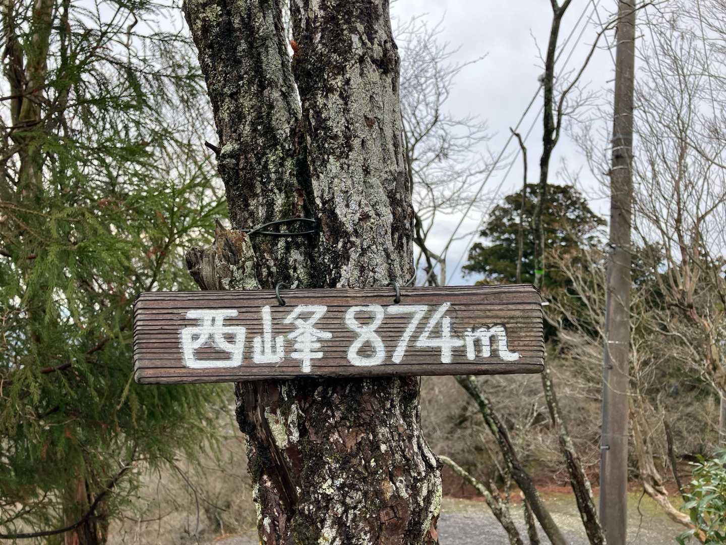 二座目🙌
おそらくブナの木に鳥が数羽。
この辺りは鳥の鳴き声が、大きく近くに聞こえる😊